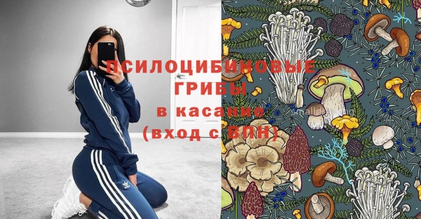 2c-b Краснотурьинск