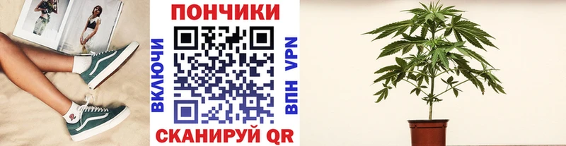 цена наркотик  Северск  МАРИХУАНА Amnesia 